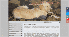 Desktop Screenshot of ferarica.com